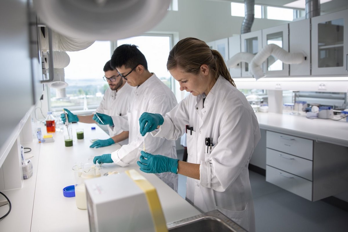 Tre forskere der arbejder i et laboratorie