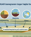 Illustration NUAR-beregneren
