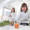 [Translate to English:] Tag din gymnasieklasse med til AU Viborg