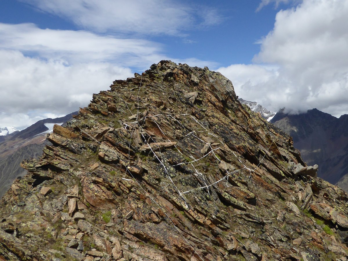 Systematic recording of plant species using quadrat sampling on a mountain summit in the Austrian Alps. Photo: Brigitta Erschbamer, Universität Innsbruck
