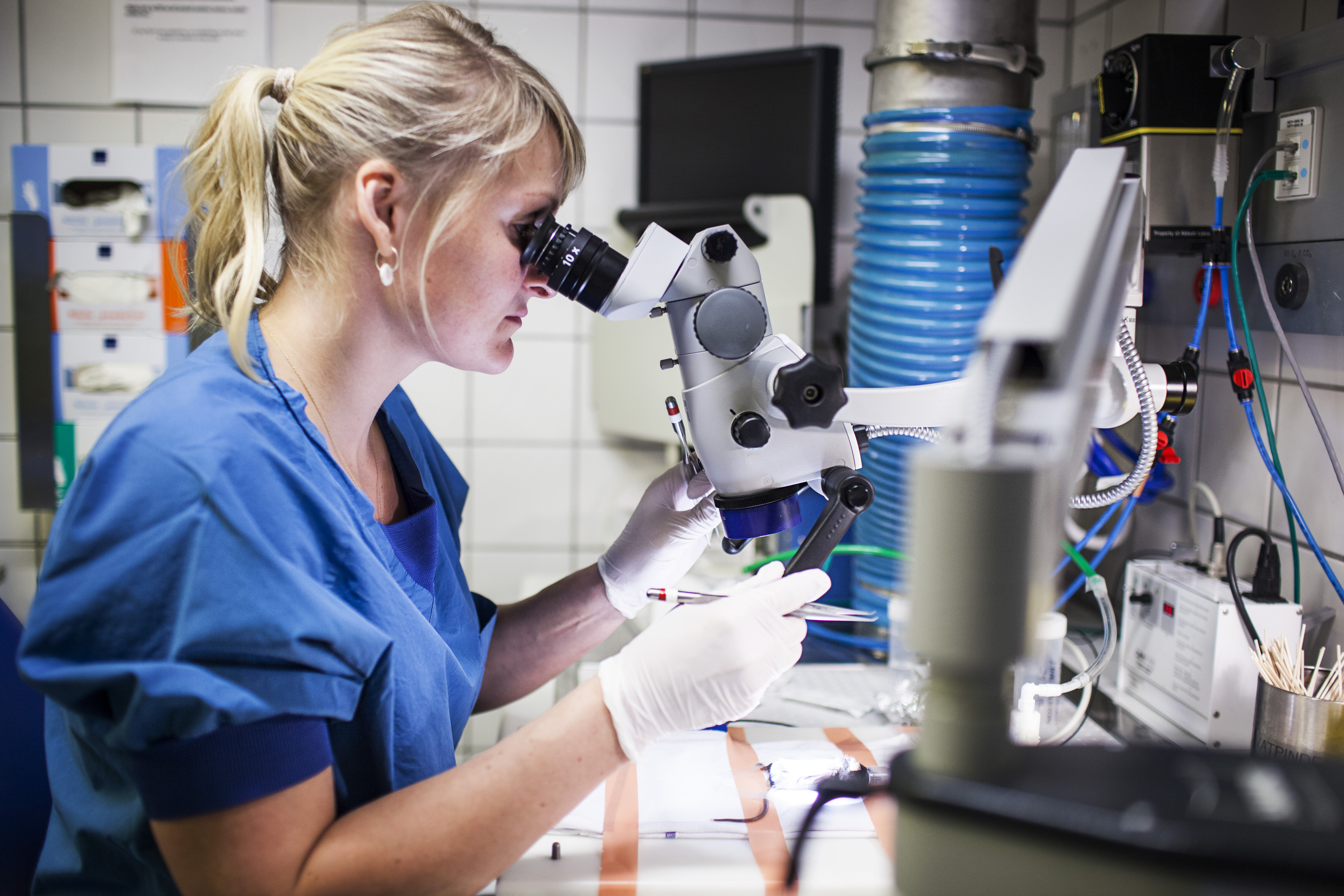 Kvinde i blå kittel kigger i et mikroskop