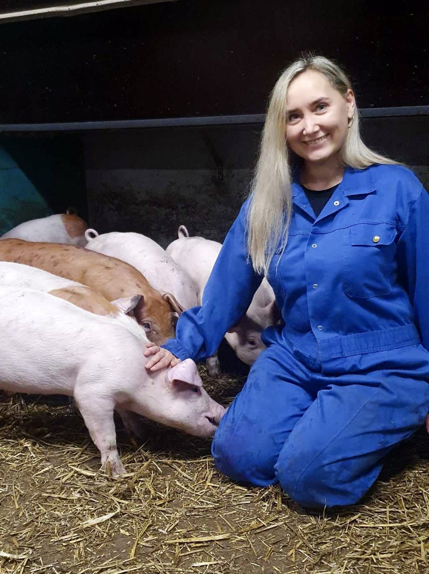Billede af Elvira der sidder ved siden af grise